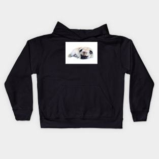 Sleeping Pug Kids Hoodie